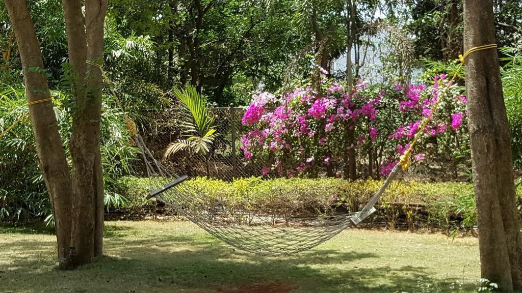 Tropicana & Alibaug Alibag